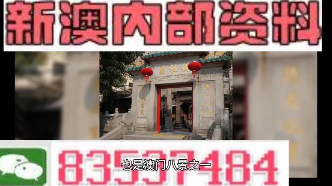 澳门精准资料大全免费-精选解释解析落实