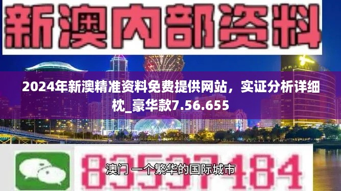 2024澳门正版免费精准资料-精选解释解析落实